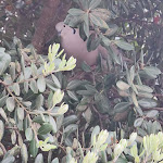 Photo n°5 de l'avis de joao.a fait le 17/03/2022 à 19:08 sur le  Hotel João Capela à Aveiro