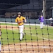 Daphne High School Baseball