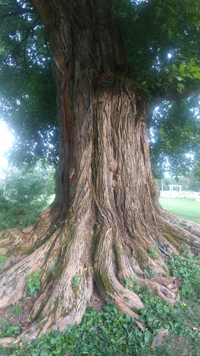 Museum «Montpelier Mansion», reviews and photos, 9650 Muirkirk Rd, Laurel, MD 20708, USA