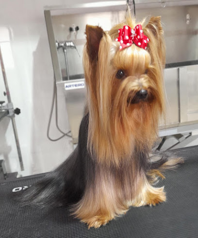 Rose Style Peluquería y estética canina - Servicios para mascota en Huelva