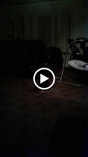 Caterer «Sooo Good Catered Creations LLC», reviews and photos, 9610 Van Buren Ct, Belleville, MI 48111, USA