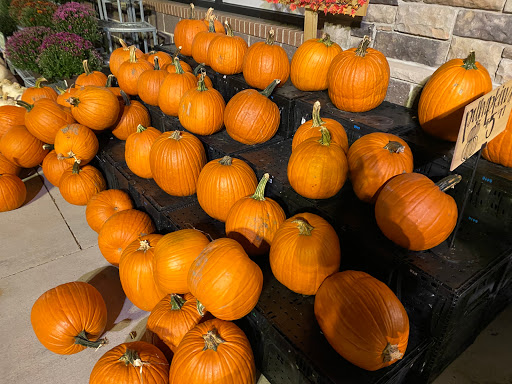 Supermarket «ALDI», reviews and photos, 630 Fellsway, Medford, MA 02155, USA