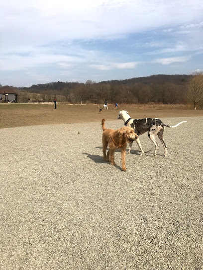 Wantage Dog Park