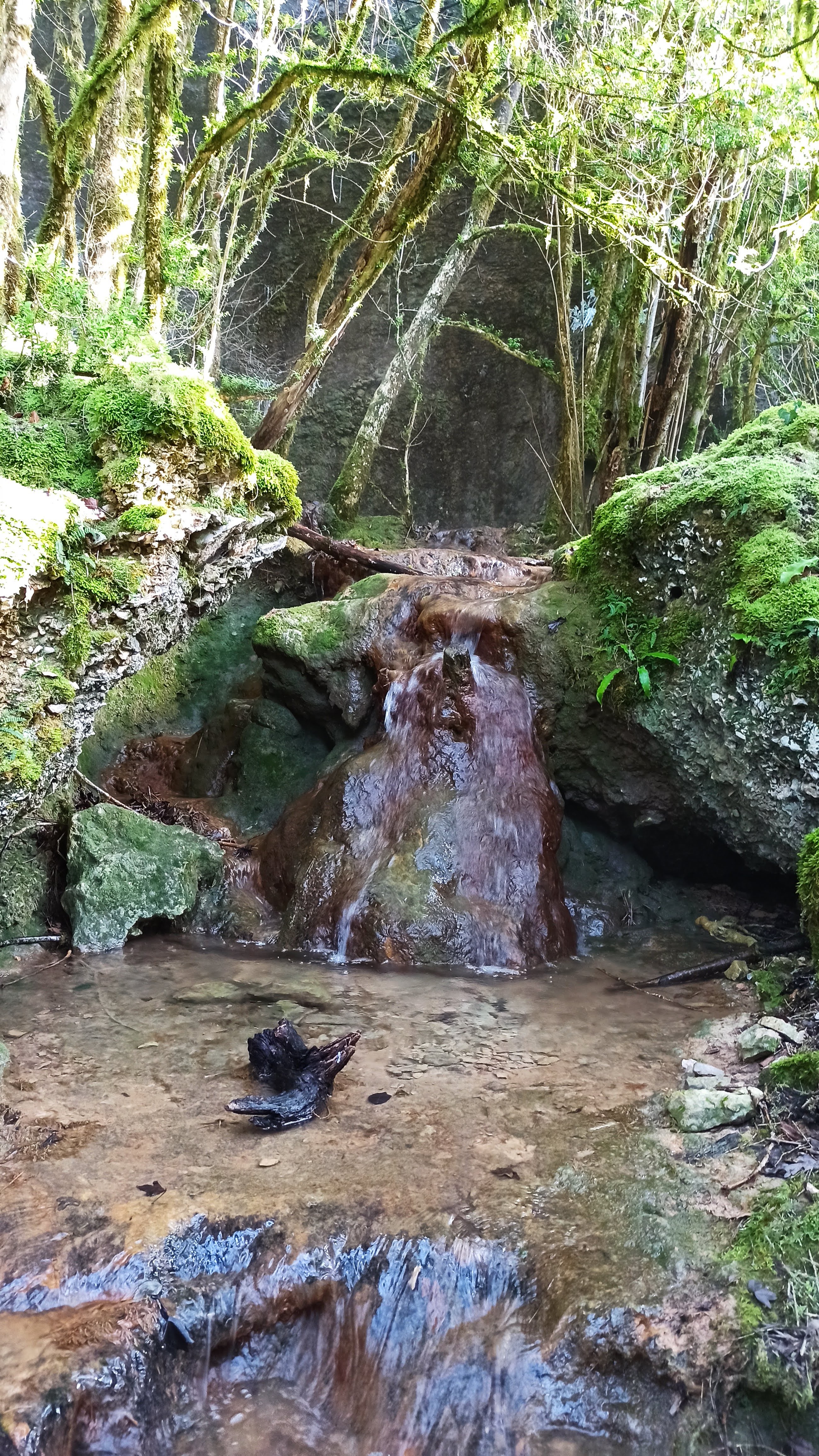 Photo n° 14 de l'avis de Veltas. fait le 30/10/2019 à 11:55