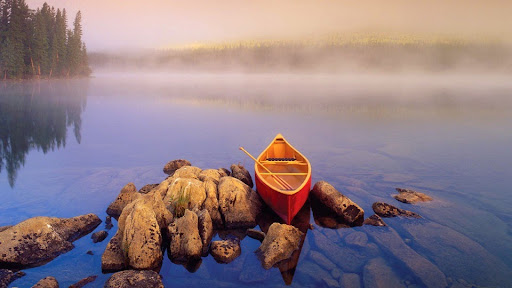 Clothing Store «Orvis», reviews and photos, 2879 Clarendon Blvd, Arlington, VA 22201, USA