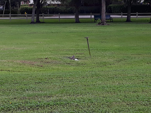 Park «Owl Park», reviews and photos, SW 26th St, Davie, FL 33325, USA