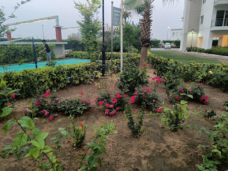 Google Maps image 33