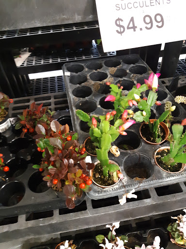 Animal Feed Store «Wilco Farm Store», reviews and photos, 815 W Main St, Battle Ground, WA 98604, USA