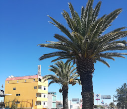 Hotel Paseo photo
