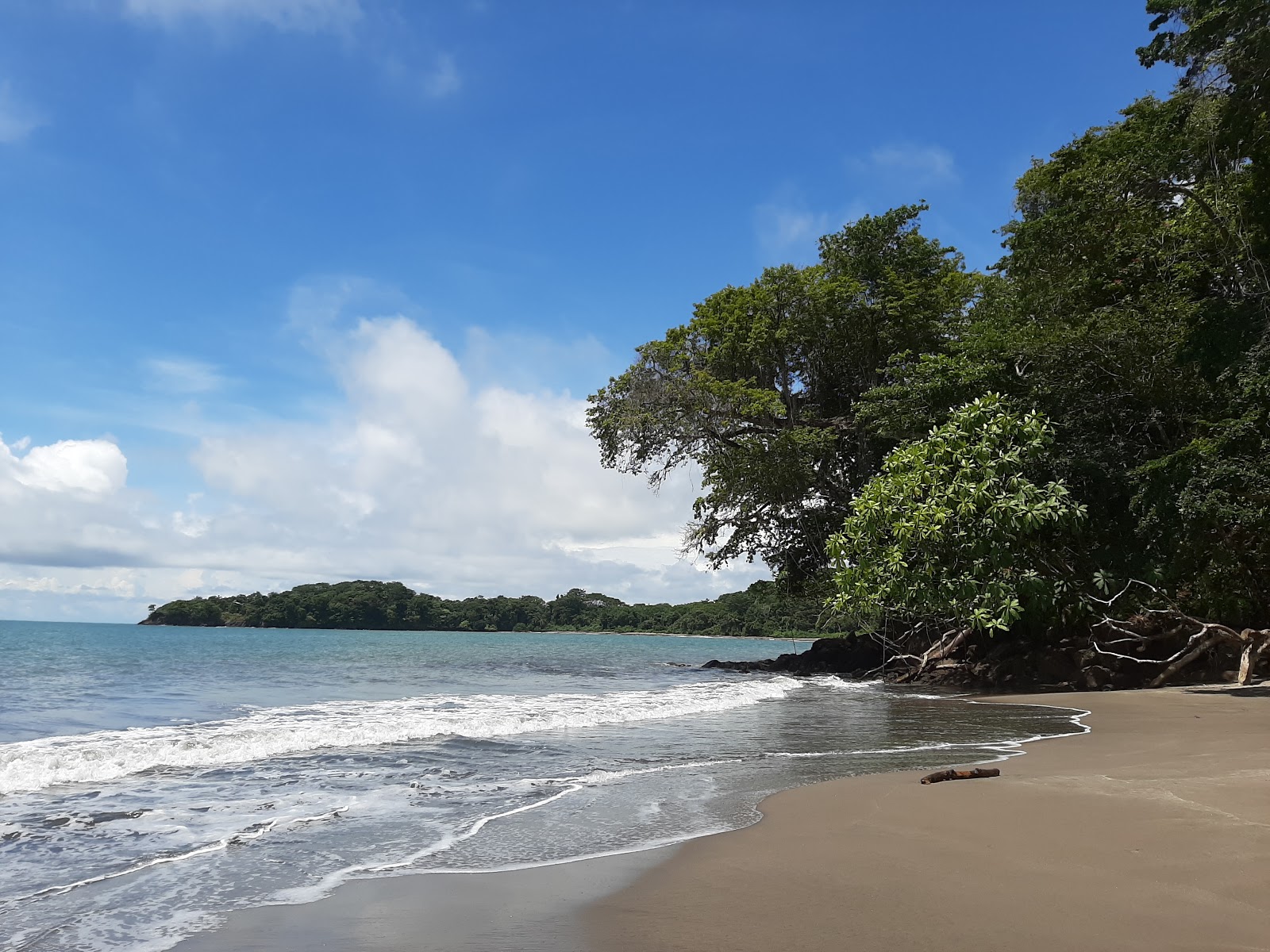 Isla Palenque beach'in fotoğrafı imkanlar alanı