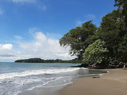 Foto de Isla Palenque beach con muy limpio nivel de limpieza