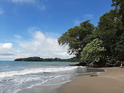 Foto von Isla Palenque beach annehmlichkeitenbereich