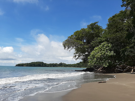 Isla Palenque beach