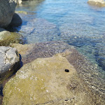 Photo n°2 de l'avis de Sonia.i fait le 05/07/2020 à 15:37 sur le  Baracchino Rosso à Massa