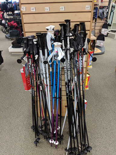 Sporting Goods Store «Peter Glenn Ski & Sports», reviews and photos, 7229 N Dale Mabry Hwy #1, Tampa, FL 33614, USA