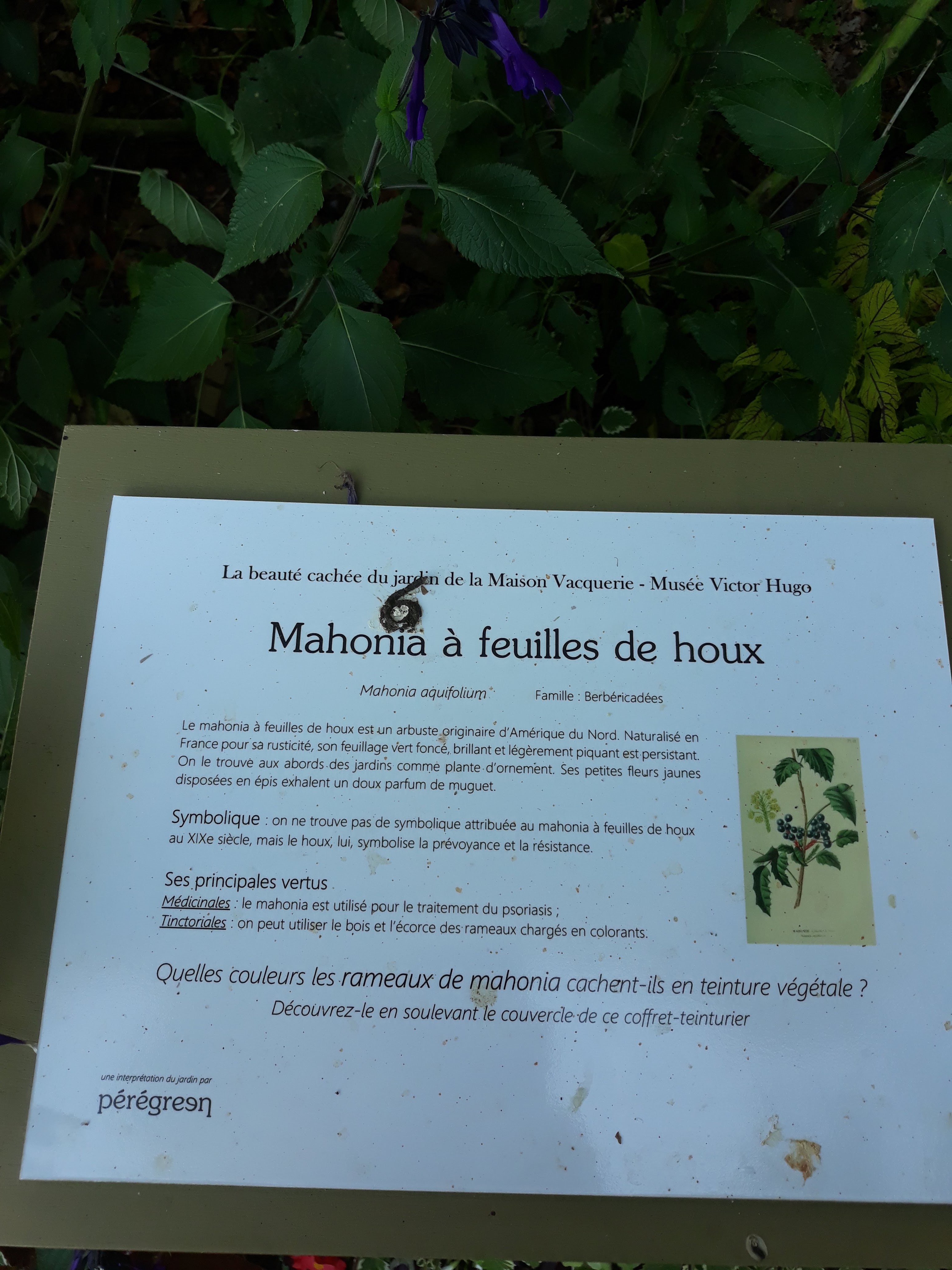 Photo n° 1 de l'avis de Jacques.a fait le 06/10/2020 à 18:27