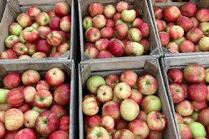 Gravert's Apple Basket Orchard image