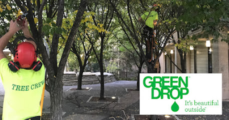 Green Drop Ltd. Tree Care