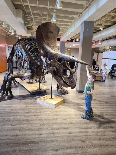 Museum «Museum of Discovery», reviews and photos, 500 President Clinton Ave #150, Little Rock, AR 72201, USA