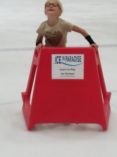 Ice In Paradise image
