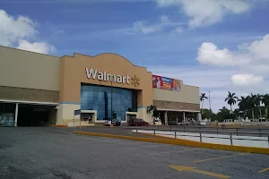 Walmart Alijadores image