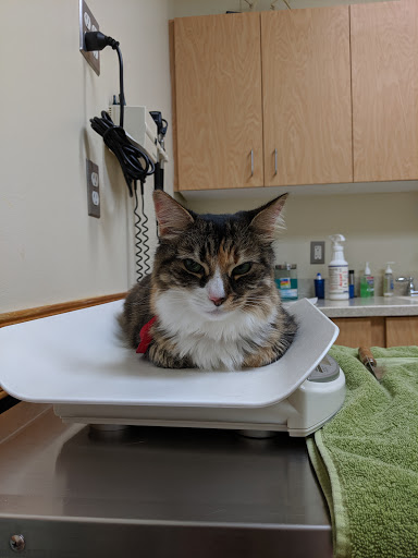 1626 York Rd, Lutherville-Timonium, MD 21093, USA