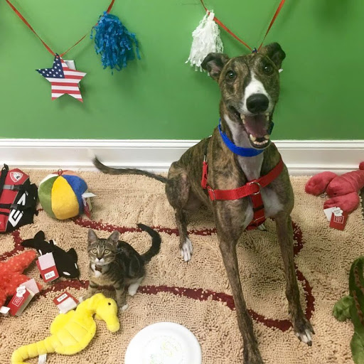 Pet Supply Store «Unleashed», reviews and photos, 1319 Military Cutoff Rd, Wilmington, NC 28405, USA