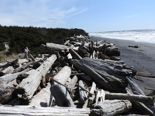 Historical Place «Lewis and Clark National Historical Park», reviews and photos, 92343 Fort Clatsop Rd, Astoria, OR 97103, USA