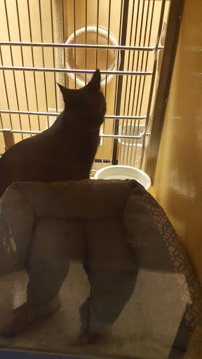 Pet Supply Store «PetSmart», reviews and photos, 350 Fifth St, Oswego, IL 60543, USA