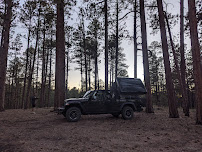 Travel and Coast LLC - Photo 9 - Car repair in , Henderson