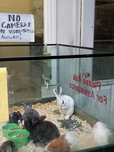 Tropical Fish Store «Xtreme Fish & Pets», reviews and photos, 11415 Bellaire Blvd # A, Houston, TX 77072, USA