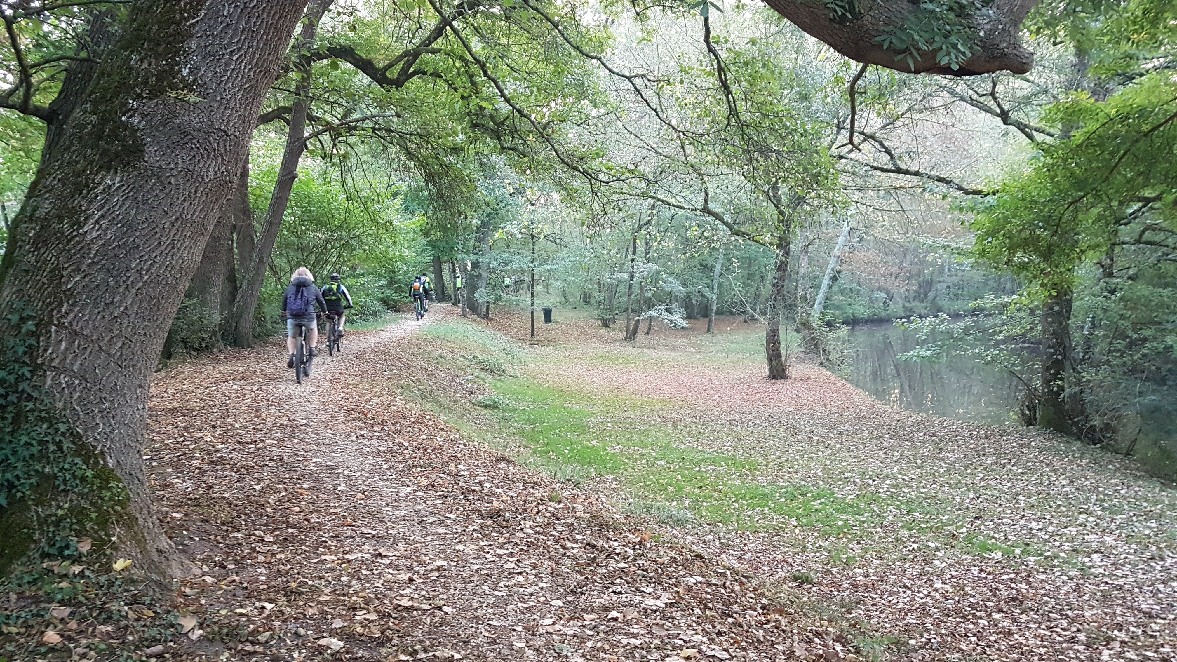 Photo n° 5 de l'avis de MICHEL. fait le 24/10/2018 à 09:05
