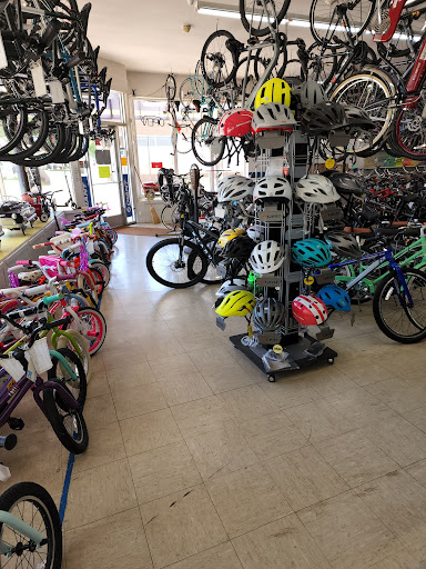 Allied Cycle Shop, 23101 Gratiot Ave, Eastpointe, MI 48021, USA, 