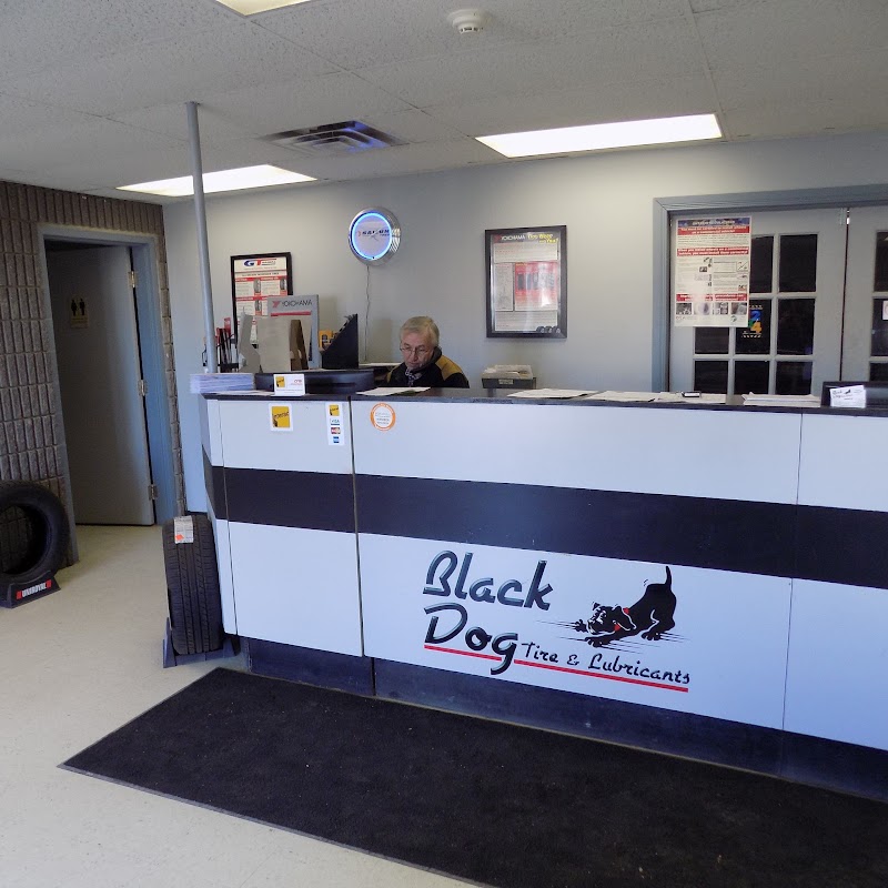 Black Dog Tirecraft Kingston