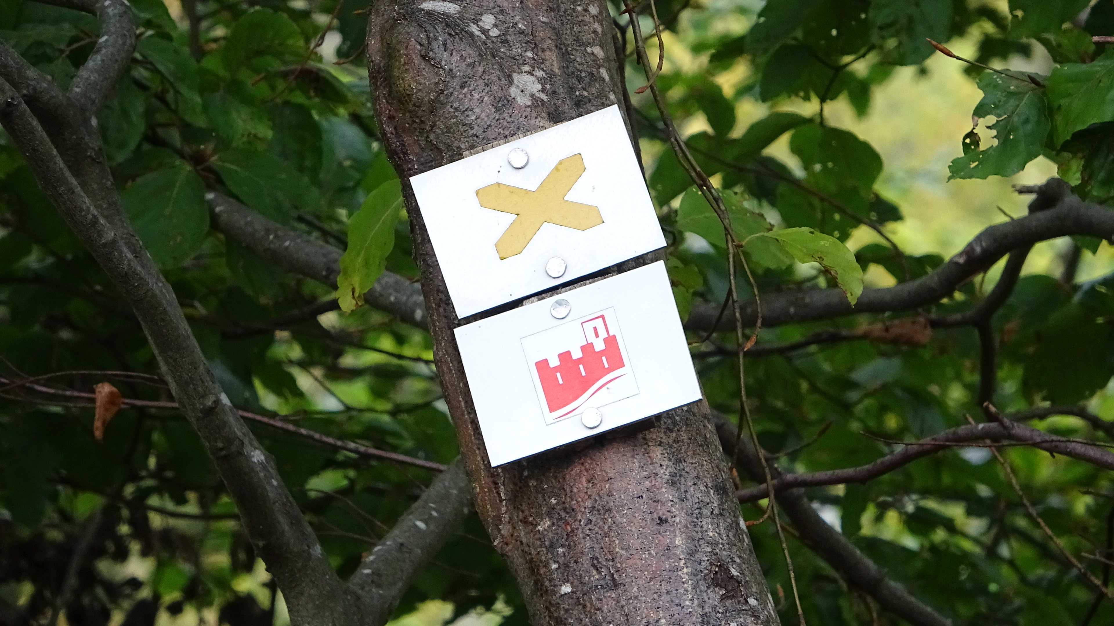 Photo n° 3 de l'avis de Marc.A fait le 31/08/2021 à 11:07