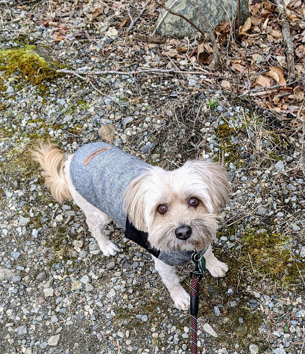 Park «Grover Cleveland Park», reviews and photos, Brookside Ave & Runnymede Rd, Essex Fells, NJ 07021, USA