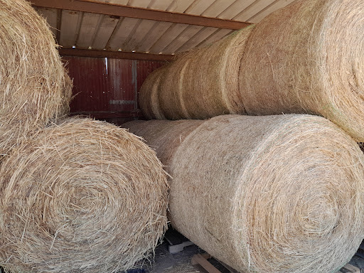 R Farm, 1041 Farm-To-Market 2537, San Antonio, TX 78221, USA, 