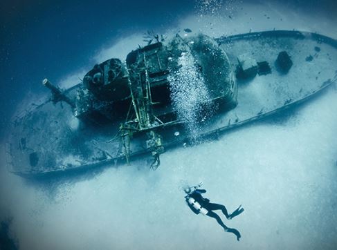 Dive Shop «Sea Sports Scuba - The Woodlands», reviews and photos, 25701 Interstate 45 N, Spring, TX 77380, USA