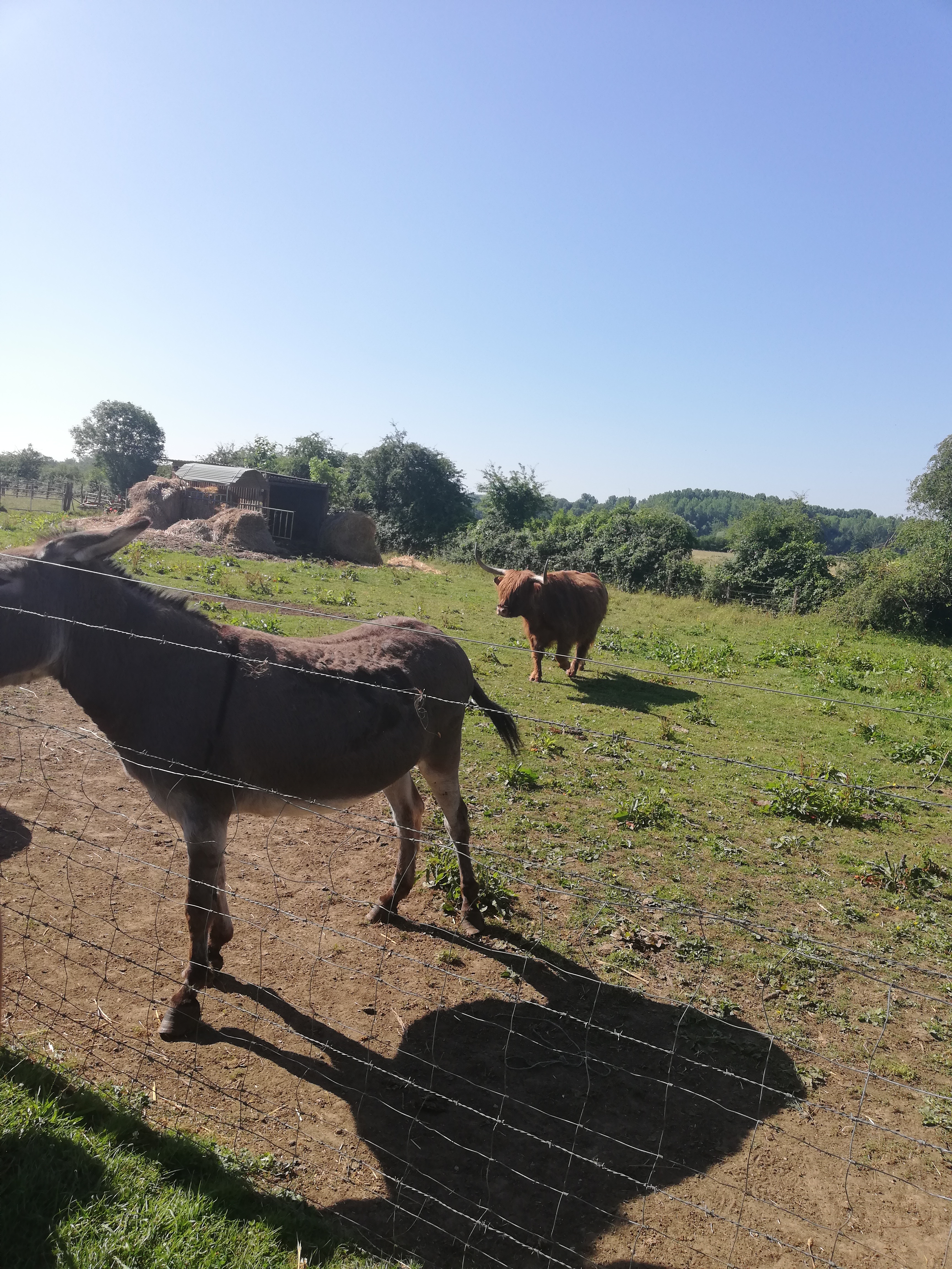 Photo n° 2 de l'avis de fatichagloria.a fait le 26/06/2018 à 14:05