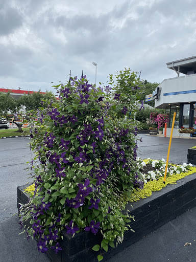 Auto Body Shop «Mascari Auto Center», reviews and photos, 8700 Thompson Run Rd, Allison Park, PA 15101, USA