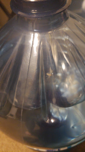 Tropical Fish Store «Something Fishy», reviews and photos, 954 S Wayne Rd, Westland, MI 48186, USA