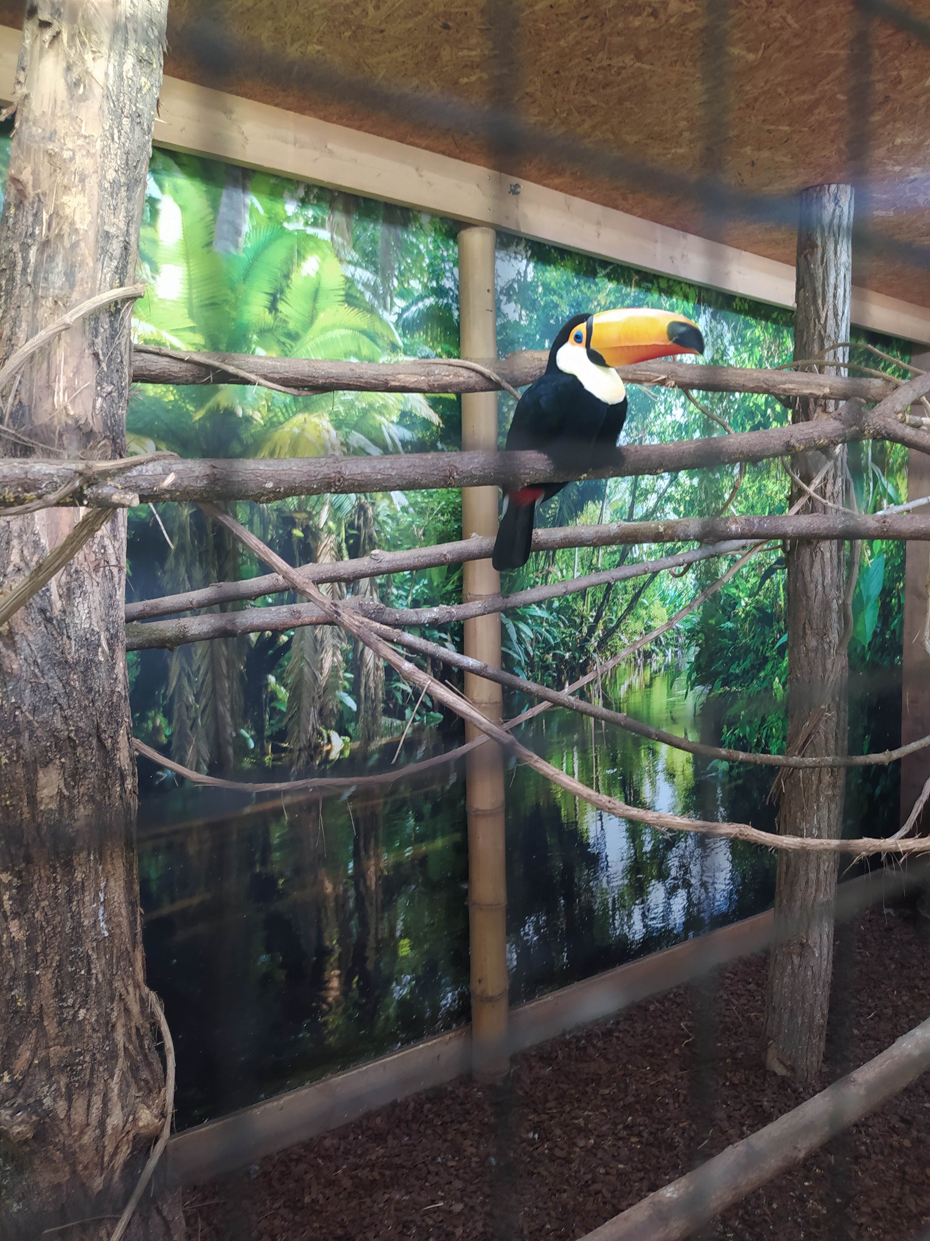 Photo n° 9 de l'avis de Céli.. fait le 11/08/2023 à 16:44