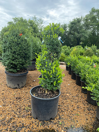 Landscaping Supply Store «Kirkwood Gardens», reviews and photos, 2701 Barrett Station Rd, Ballwin, MO 63021, USA