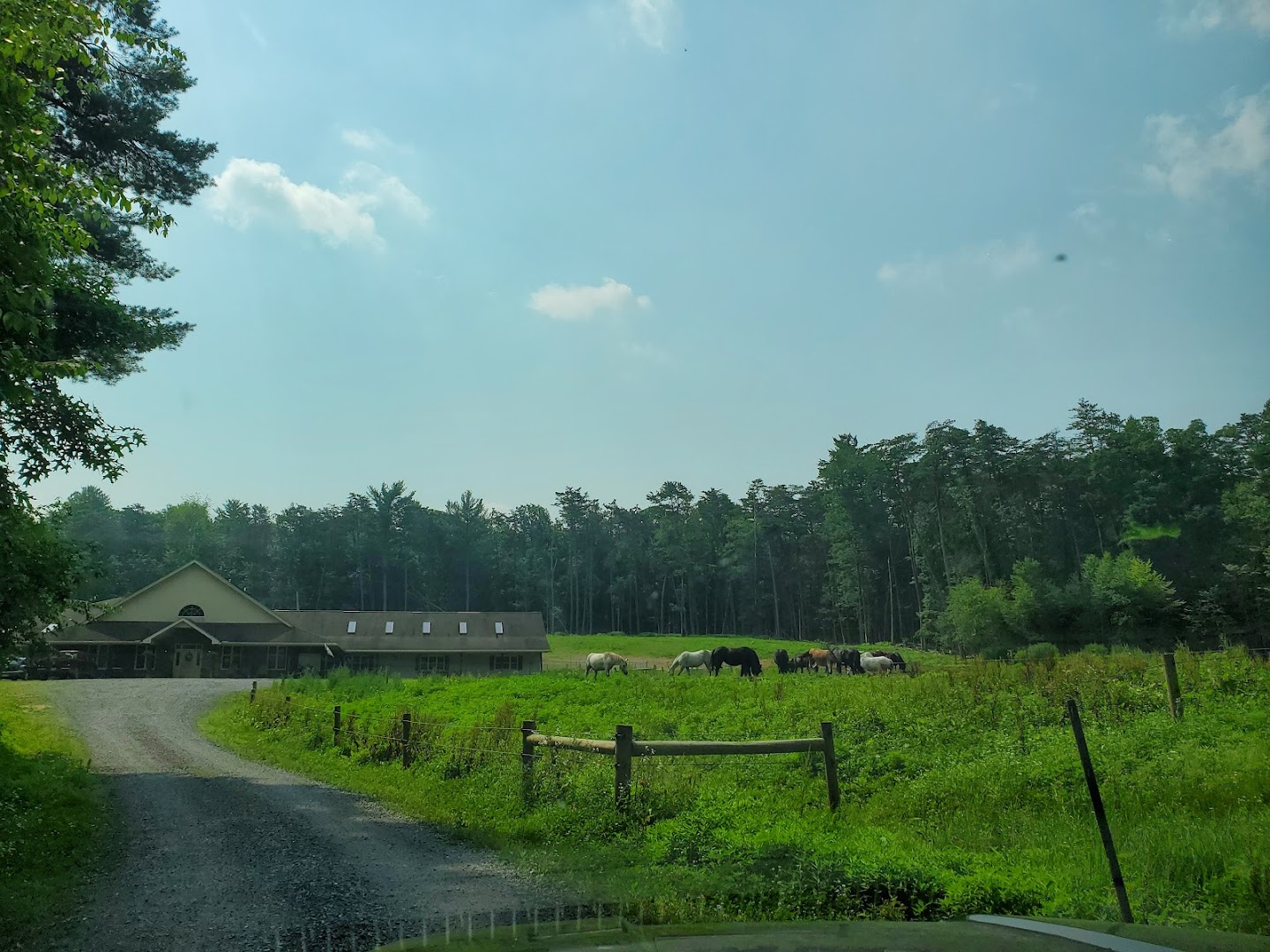 Stone Valley Pet Lodge