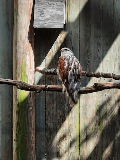 Environmental Organization «VINS Nature Center», reviews and photos, 6565 Woodstock Rd, Quechee, VT 05059, USA