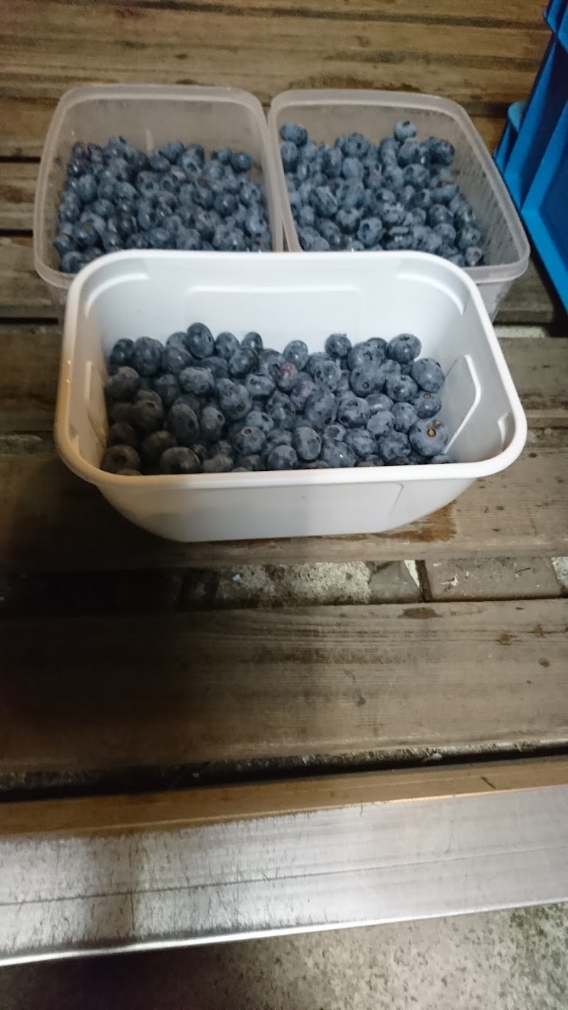 Kaida Farm 第一農場 長野県木曽町開田高原末川 果樹園 飲食店 グルコミ