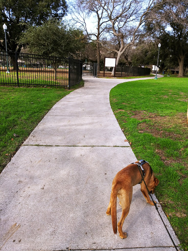 Madison Square Dog Park