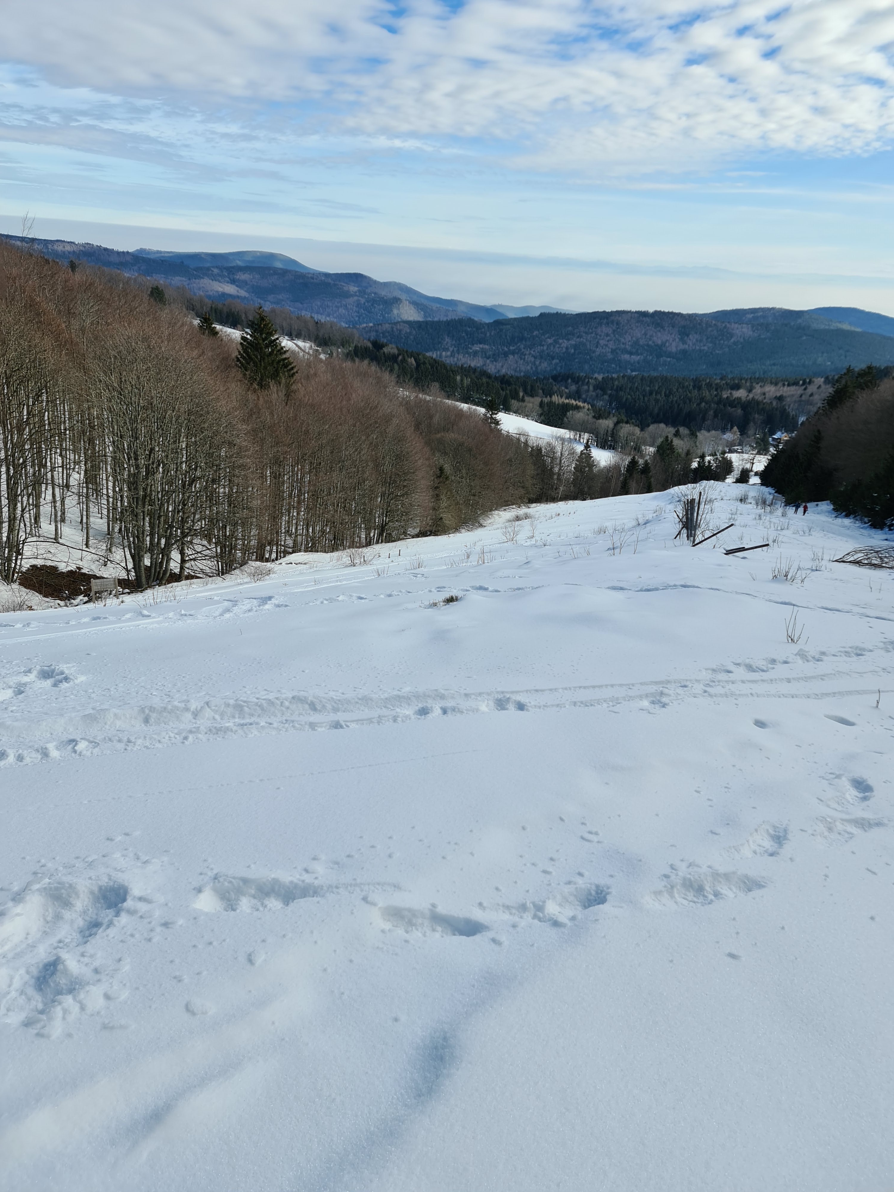 Photo n° 5 de l'avis de Christophe.t fait le 13/02/2023 à 07:52