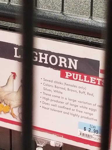 Home Improvement Store «Tractor Supply Co.», reviews and photos, 154 Vestal Pkwy W, Vestal, NY 13850, USA