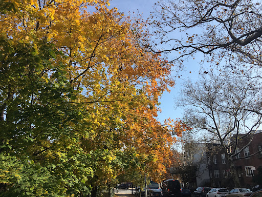 Coffee Shop «Terrace Coffee Shop», reviews and photos, 598 19th St, Brooklyn, NY 11218, USA